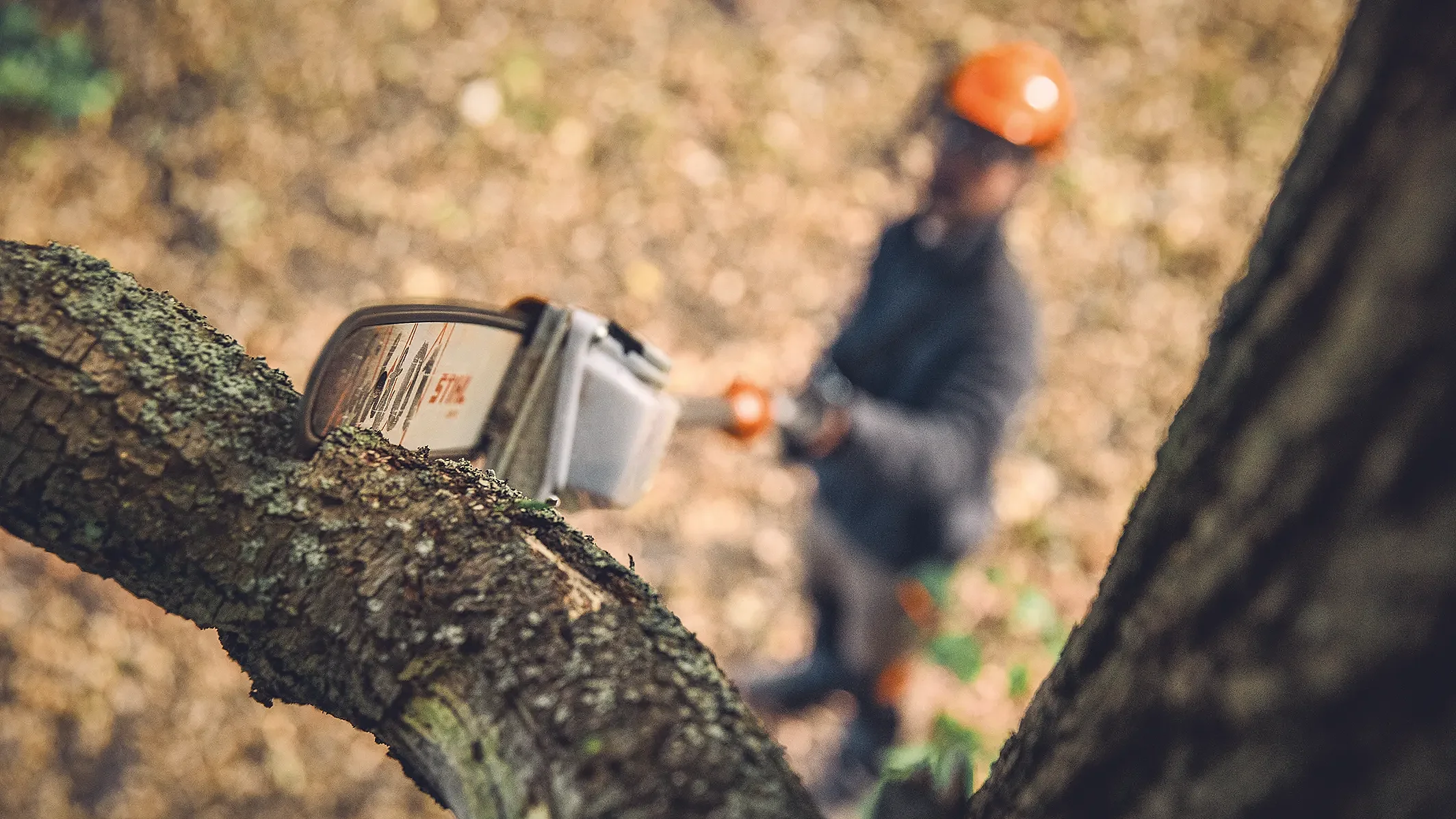 Worker using a STIHL pole pruner to cut a tree branch, viewed from behind the branch with shallow depth of field in a woodland setting.
